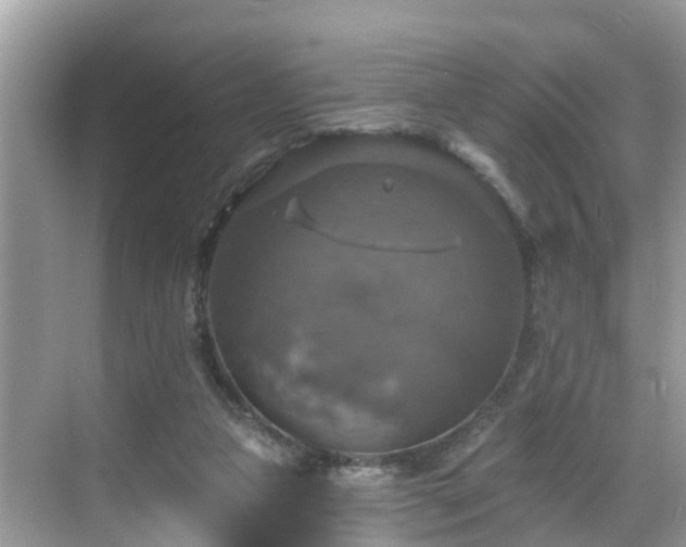 X0000068840161200605081248