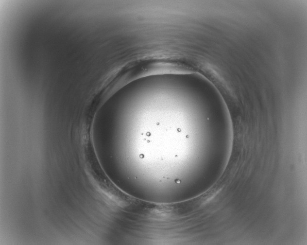 X0000068840164200605081248