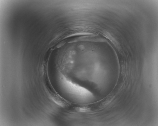 X0000068840165200605081248