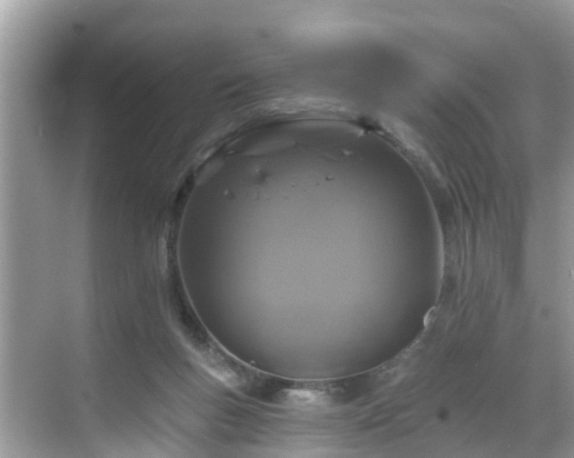 X0000068840167200605081248