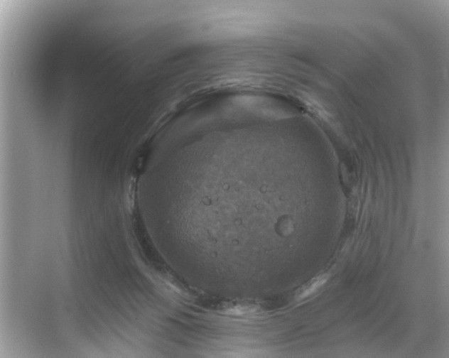 X0000068840168200605081248