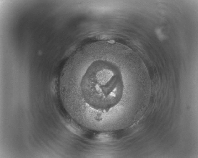 X0000068840171200605081248