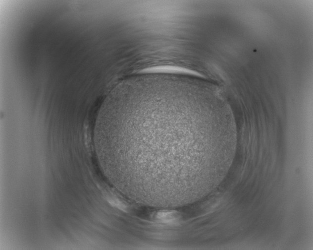 X0000068840173200605081248