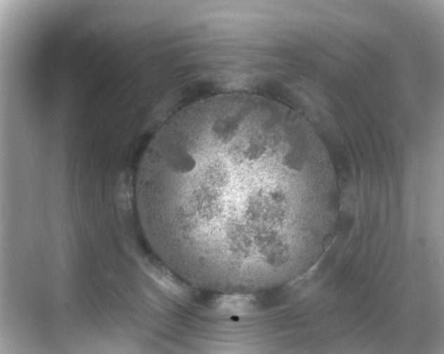 X0000068840179200605081249