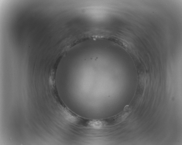 X0000068840181200605081249