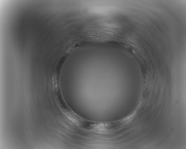 X0000068840182200605081249