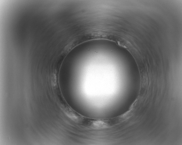 X0000068840183200605081249