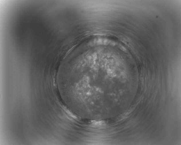 X0000068840185200605081249