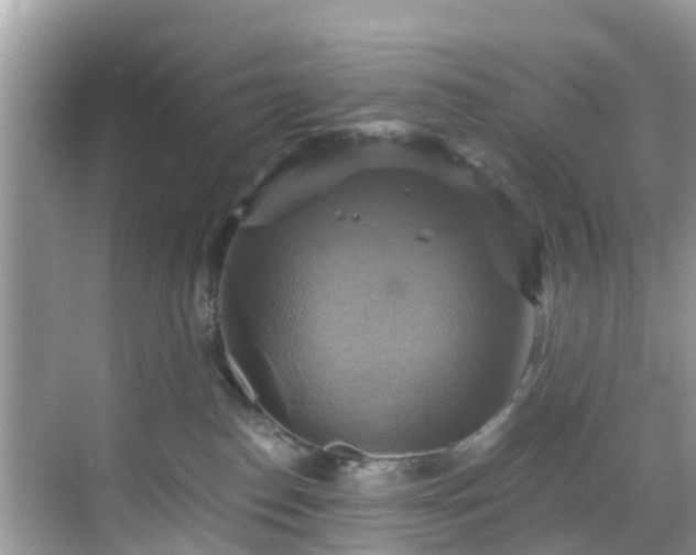 X0000068840186200605081249