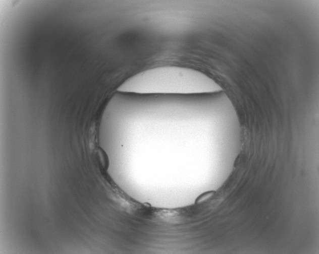 X0000068840189200605081249