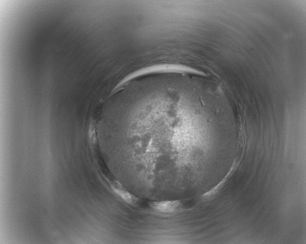 X0000068840191200605081249