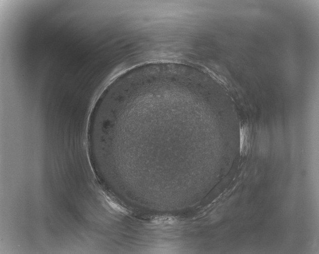 X0000068840195200605081248