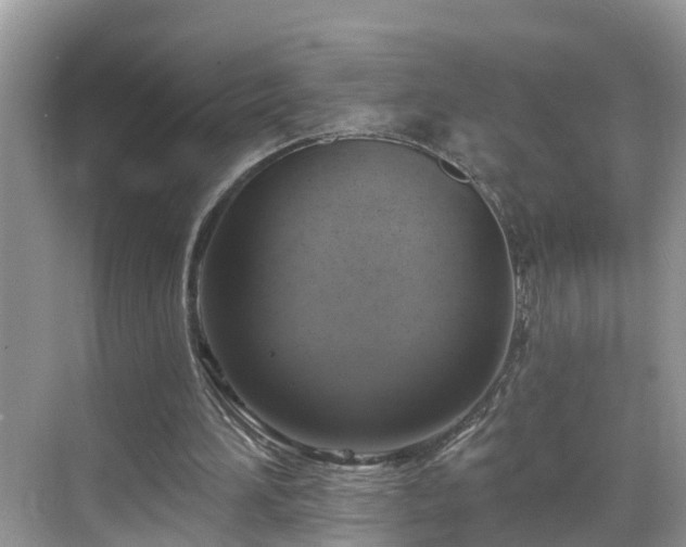 X0000068840196200605081248