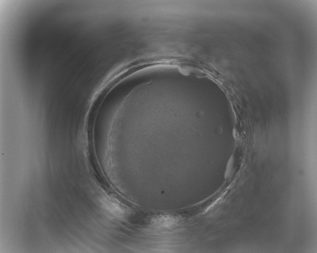 X0000068840198200605081248