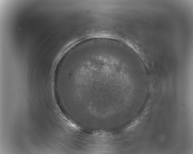 X0000068840199200605081248