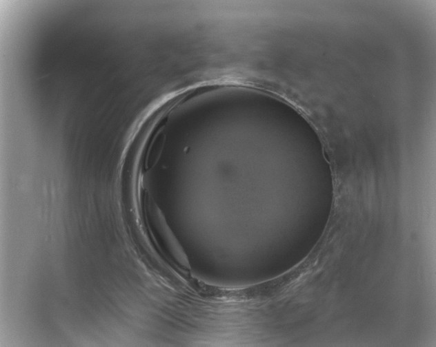 X0000068840200200605081248