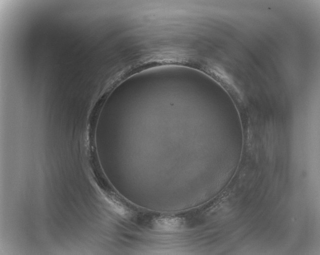 X0000068840202200605081248