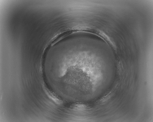 X0000068840203200605081248