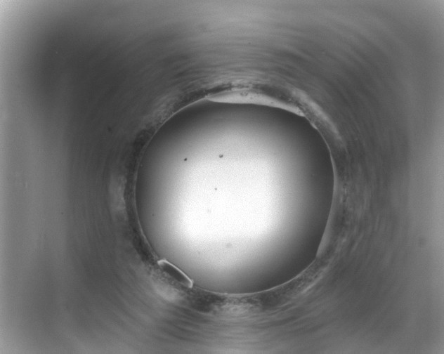 X0000068840209200605081248