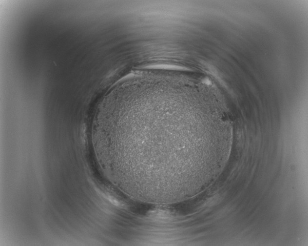 X0000068840211200605081248