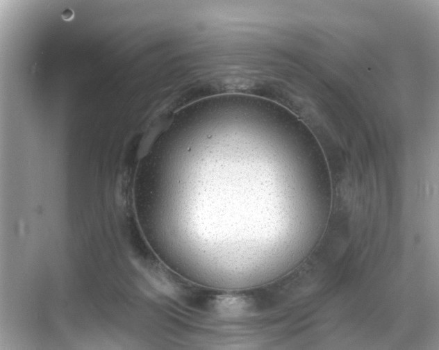 X0000068840218200605081248