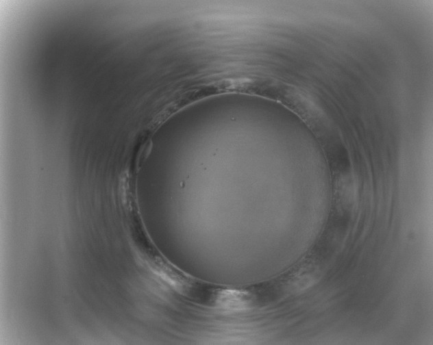 X0000068840222200605081247