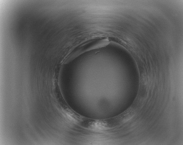 X0000068840223200605081247