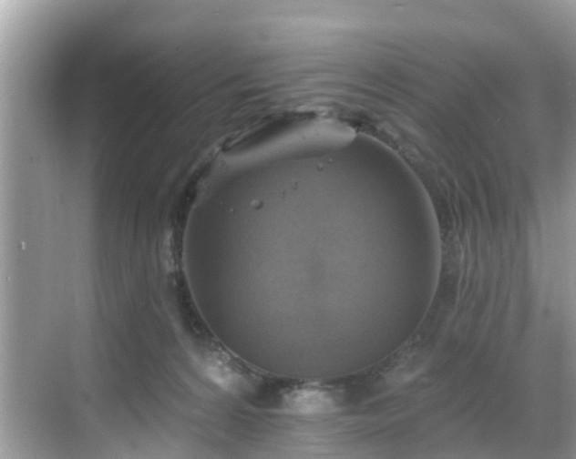 X0000068840224200605081247