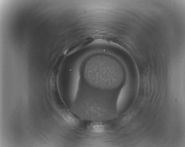 X0000068840228200605081247