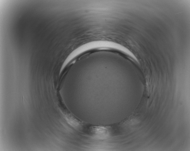 X0000068840229200605081247