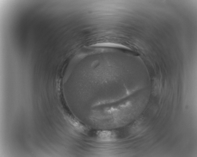 X0000068840230200605081247