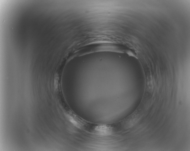 X0000068840231200605081247