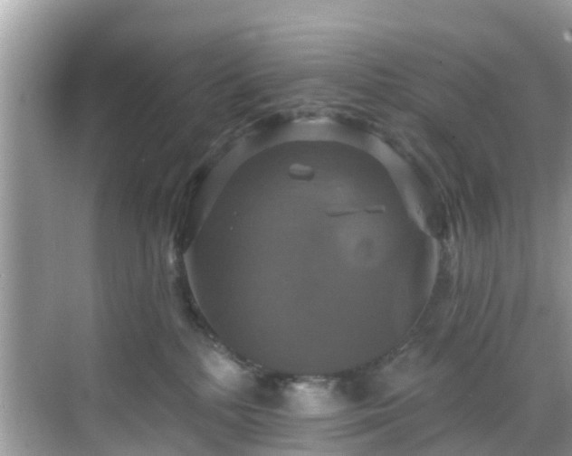 X0000068840232200605081247