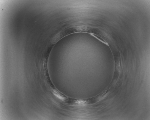 X0000068840233200605081247