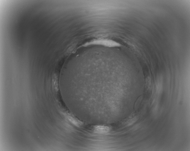 X0000068840234200605081247