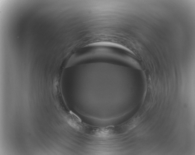 X0000068840235200605081247