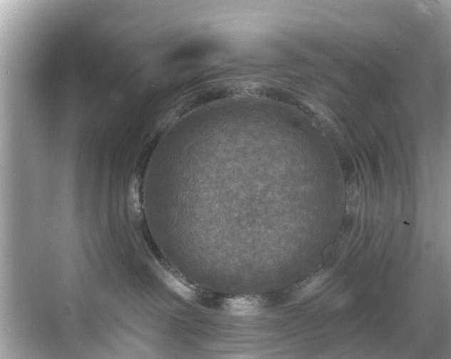 X0000068840238200605081247