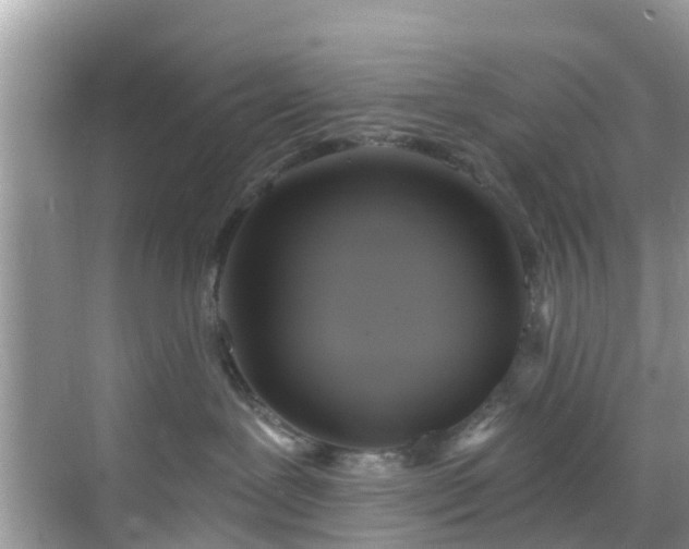 X0000068840239200605081247