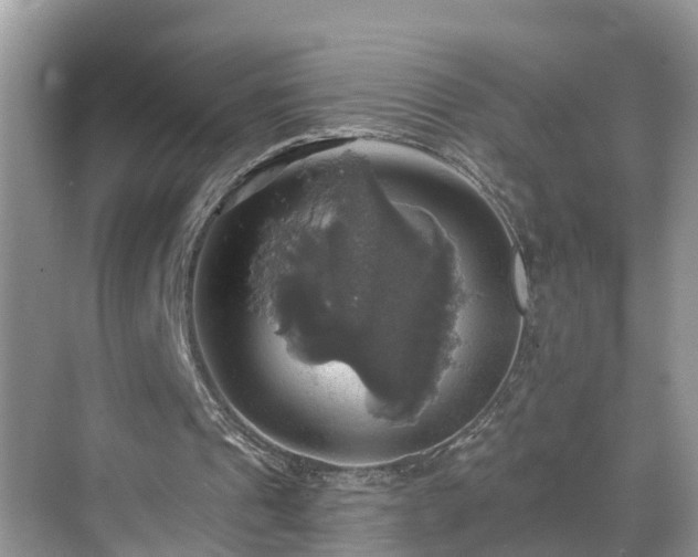 X0000068840241200605081246