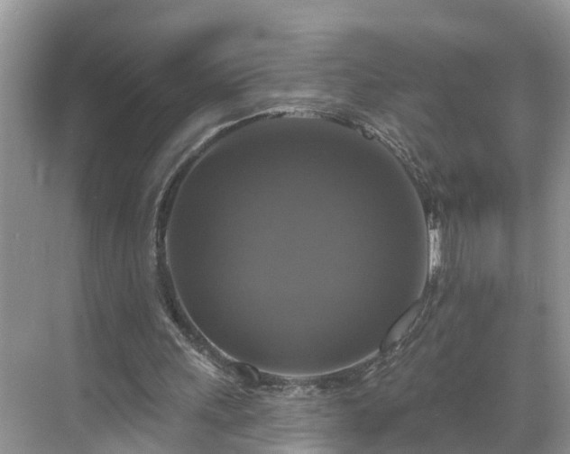 X0000068840243200605081246