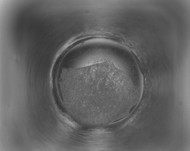 X0000068840246200605081246