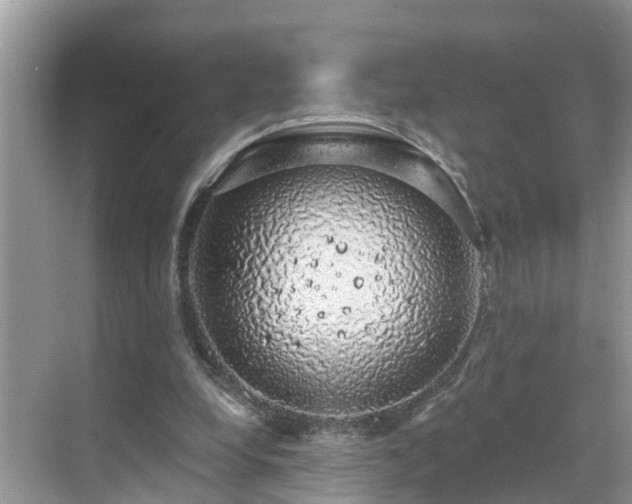 X0000068840248200605081246