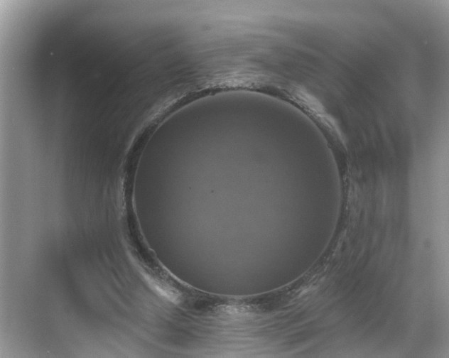 X0000068840250200605081246