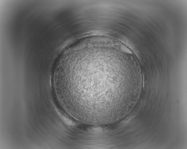 X0000068840253200605081247