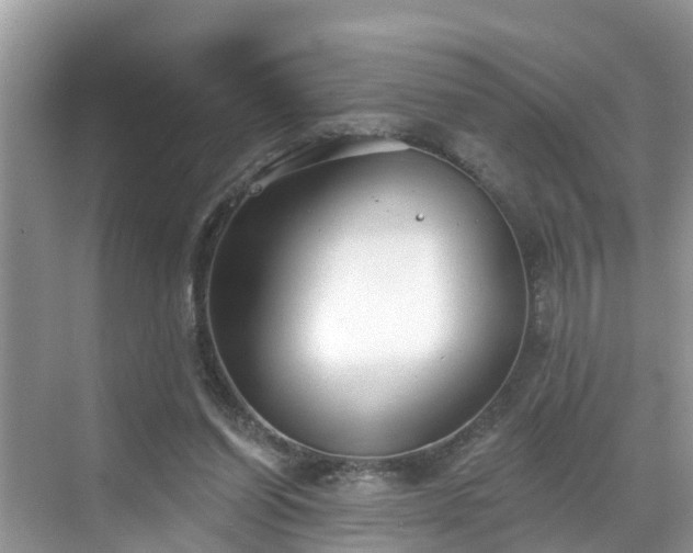 X0000068840254200605081247