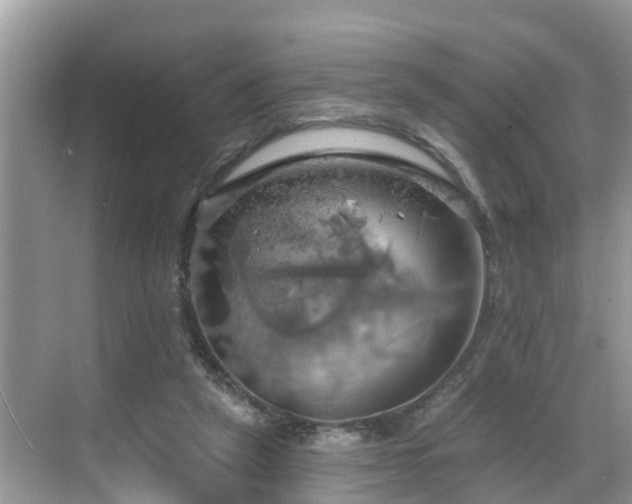 X0000068840257200605081247