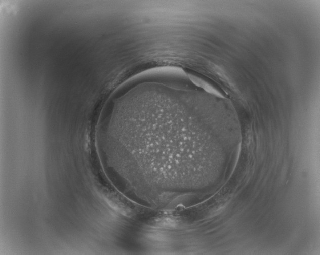 X0000068840259200605081247