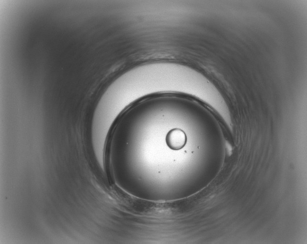 X0000068840260200605081247