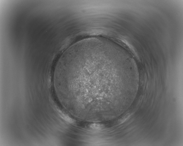 X0000068840261200605081247