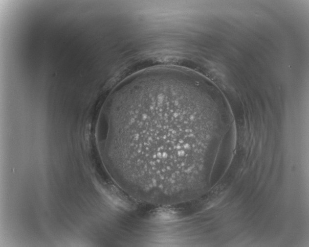 X0000068840263200605081247